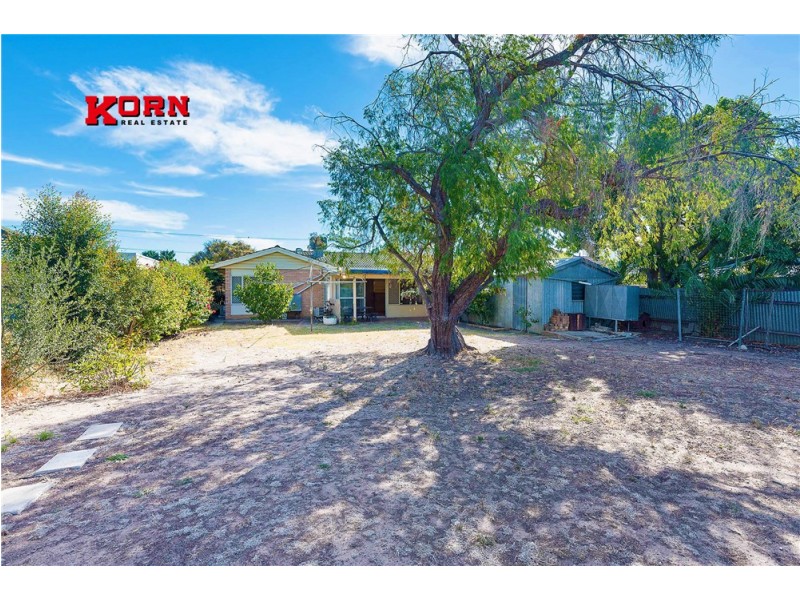 11 Don Terrace, Morphettville SA 5043