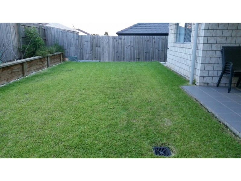 61 Chalk Circuit, North Lakes QLD 4509