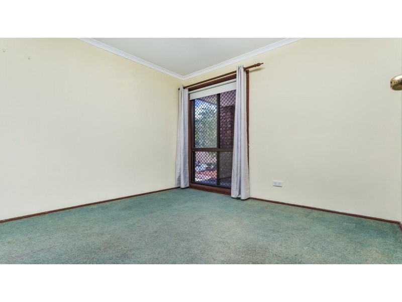 41 Balcara Avenue, Carseldine QLD 4034