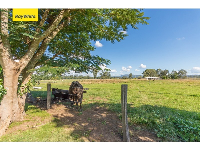 Stanmore QLD 4514