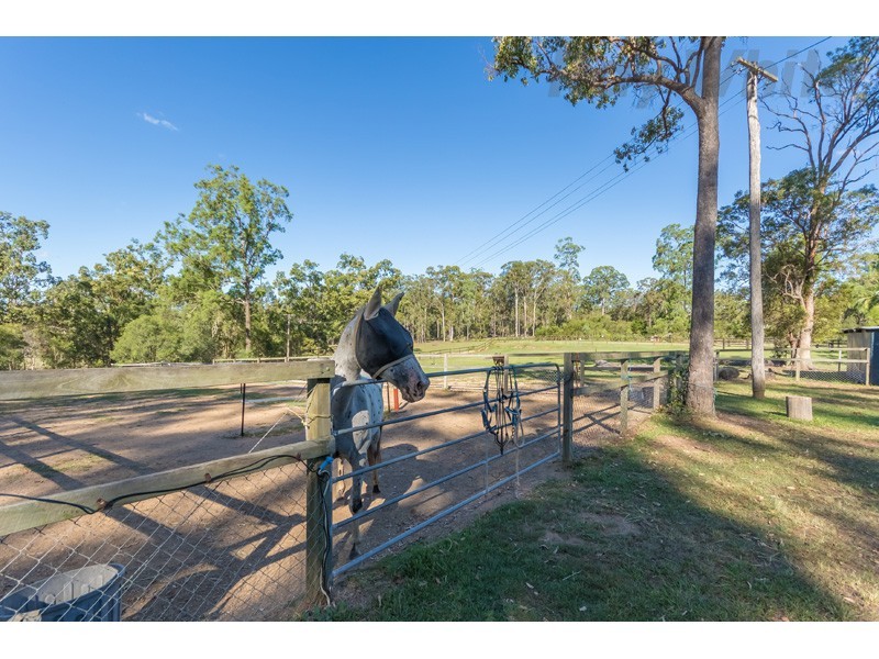 100 Jackson Road, Bellmere QLD 4510