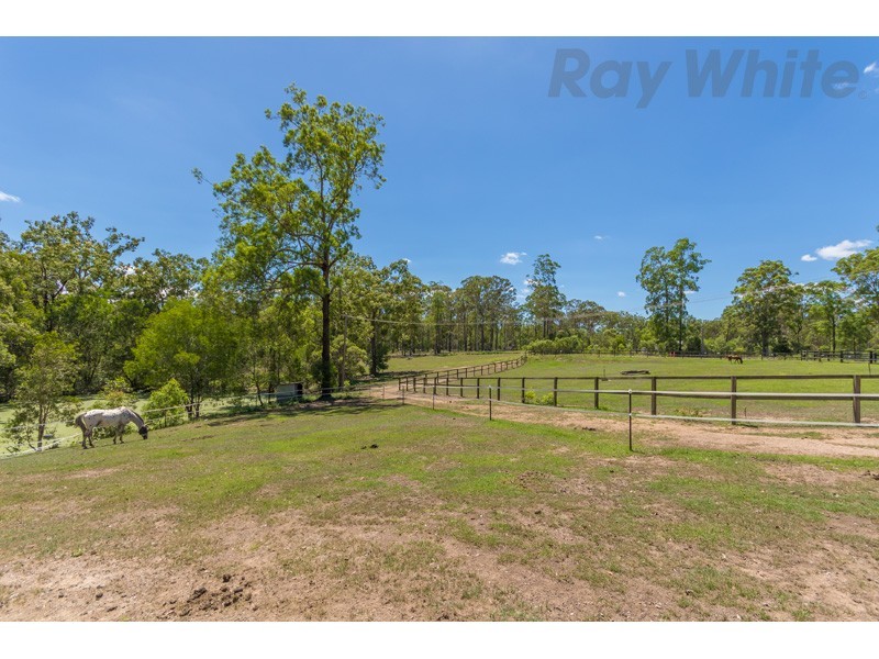 100 Jackson Road, Bellmere QLD 4510