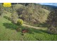 Mount Delaney QLD 4514