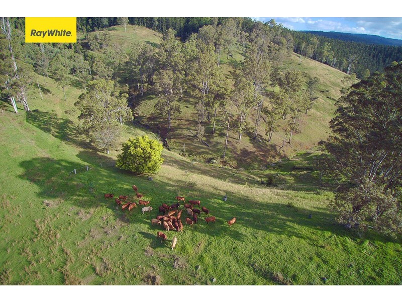 Mount Delaney QLD 4514