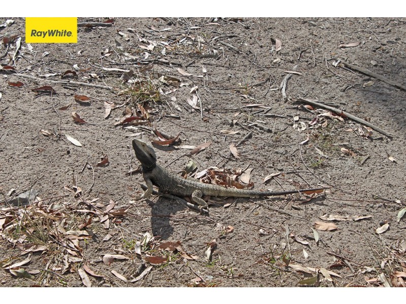 D’aguilar QLD 4514