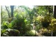 144 Old North Road, Wamuran QLD 4512