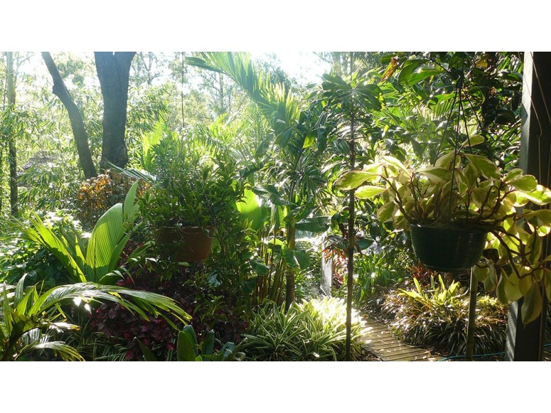 144 Old North Road, Wamuran QLD 4512