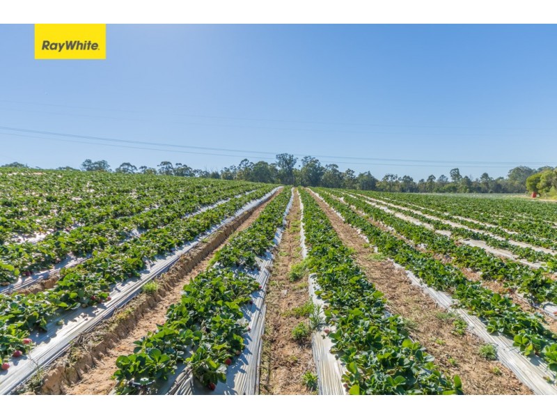 Wamuran QLD 4512