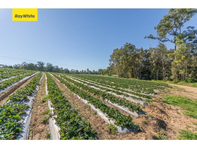 Wamuran QLD 4512