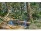 2 Faye Road, Bellmere QLD 4510