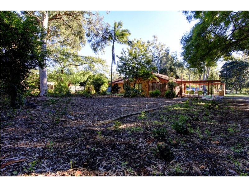 68 Addison Road, Camira QLD 4300