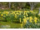 42 Manuka Road, Oyster Cove TAS 7150