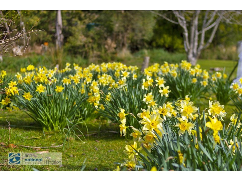 42 Manuka Road, Oyster Cove TAS 7150