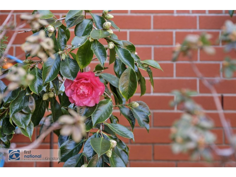 4/55a Newdegate Street, West Hobart TAS 7000