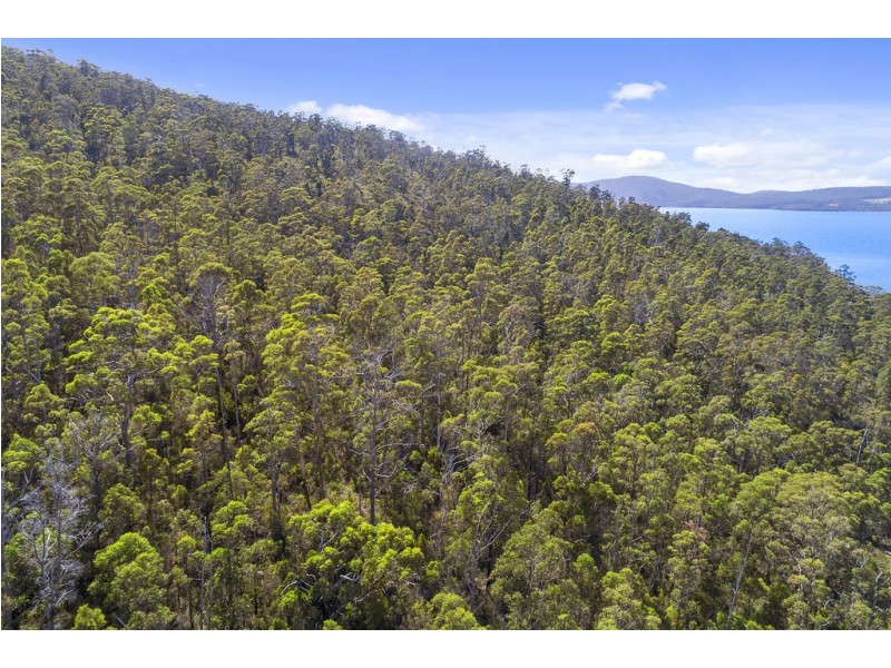 5278 Channel Highway, Gordon TAS 7150