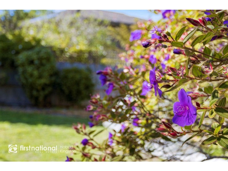 1 Birch Street, Kingston TAS 7050