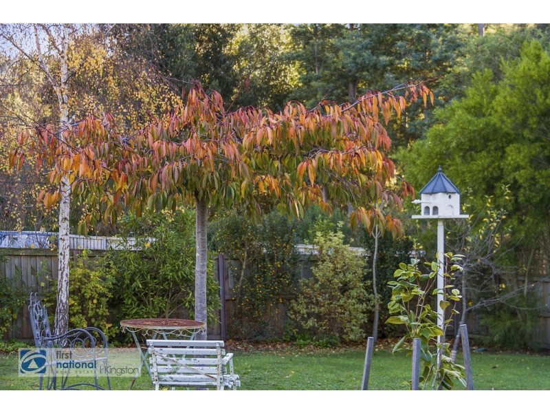 7 Snow Gum Drive, Snug TAS 7054