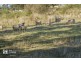 87 Cades Drive, Kingston TAS 7050