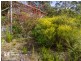 155 Wiggins Road, Longley TAS 7150