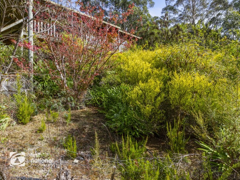 155 Wiggins Road, Longley TAS 7150