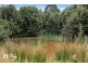 155 Vinces Saddle Road, Sandfly TAS 7150