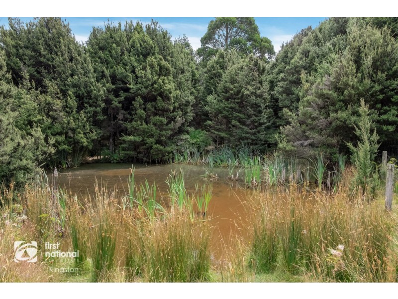 155 Vinces Saddle Road, Sandfly TAS 7150