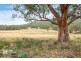 155 Vinces Saddle Road, Sandfly TAS 7150