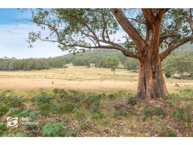 155 Vinces Saddle Road, Sandfly TAS 7150