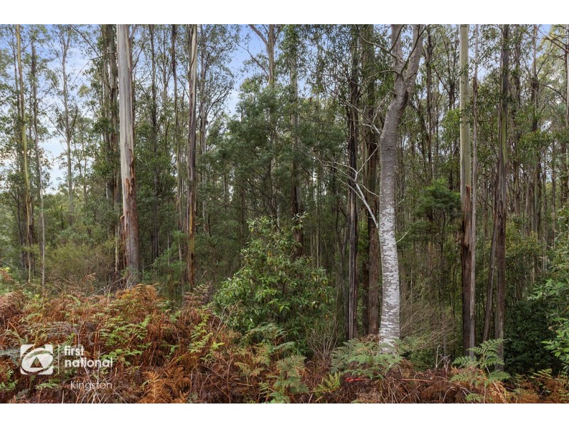 398 Old Bernies Road, Margate TAS 7054