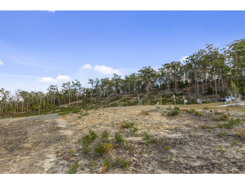 23 Apolline Drive, Kingston TAS 7050