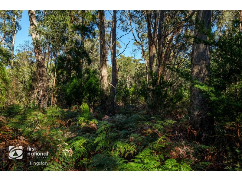 20 Cloudy Bay Road, Lunawanna TAS 7150