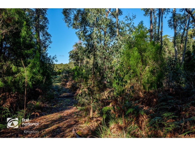 20 Cloudy Bay Road, Lunawanna TAS 7150