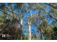20 Cloudy Bay Road, Lunawanna TAS 7150