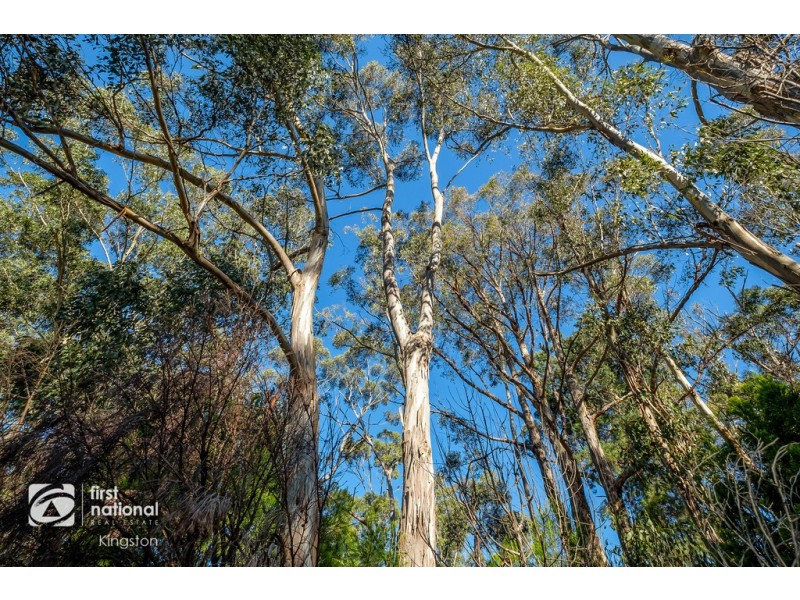 20 Cloudy Bay Road, Lunawanna TAS 7150