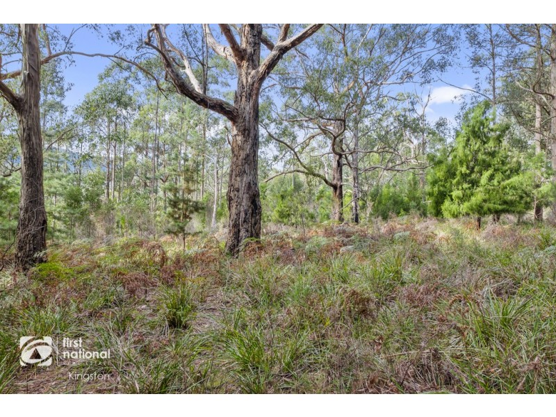 20 Cloudy Bay Road, Lunawanna TAS 7150