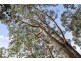 20 Cloudy Bay Road, Lunawanna TAS 7150