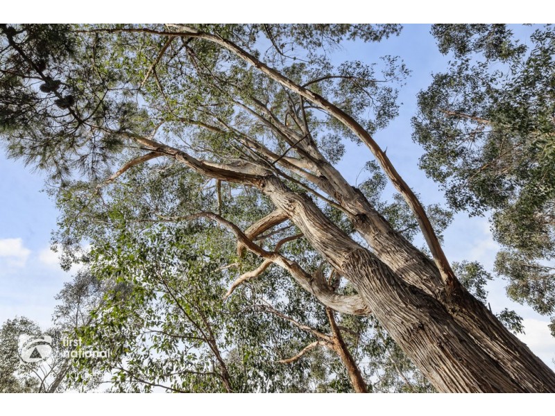 20 Cloudy Bay Road, Lunawanna TAS 7150