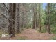 20 Cloudy Bay Road, Lunawanna TAS 7150