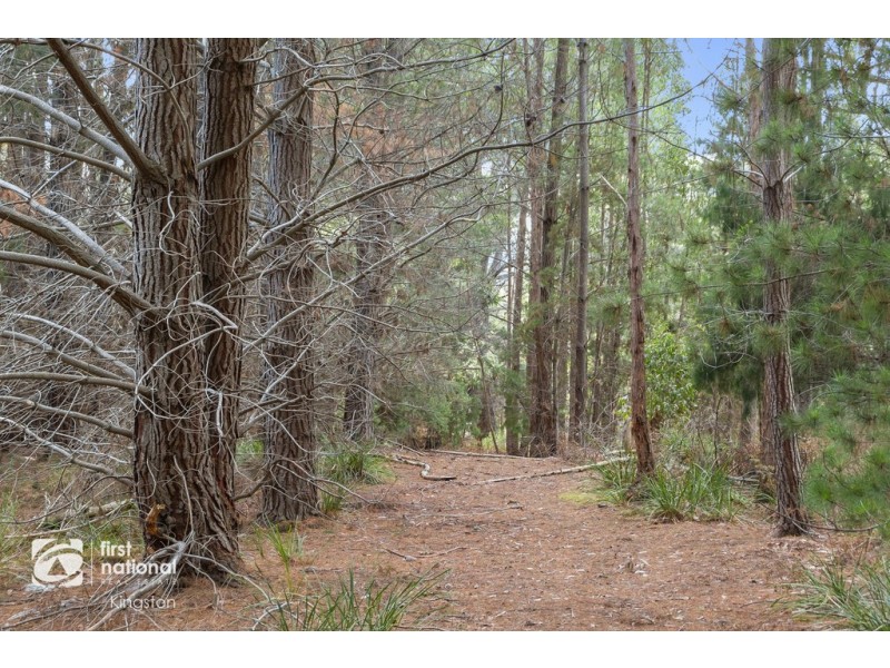 20 Cloudy Bay Road, Lunawanna TAS 7150