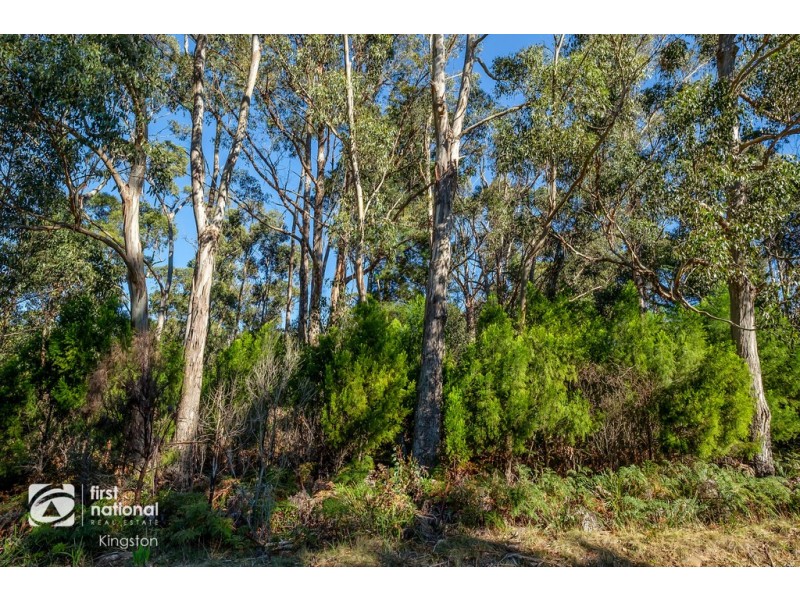 20 Cloudy Bay Road, Lunawanna TAS 7150