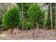20 Cloudy Bay Road, Lunawanna TAS 7150
