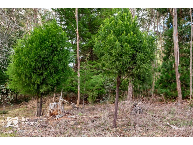 20 Cloudy Bay Road, Lunawanna TAS 7150