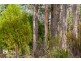 20 Cloudy Bay Road, Lunawanna TAS 7150