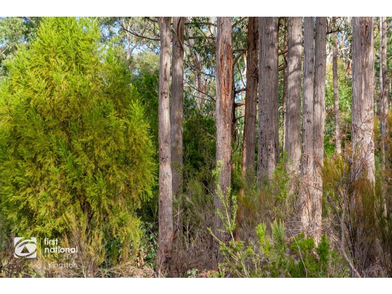 20 Cloudy Bay Road, Lunawanna TAS 7150