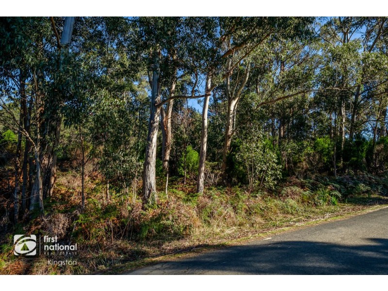 20 Cloudy Bay Road, Lunawanna TAS 7150