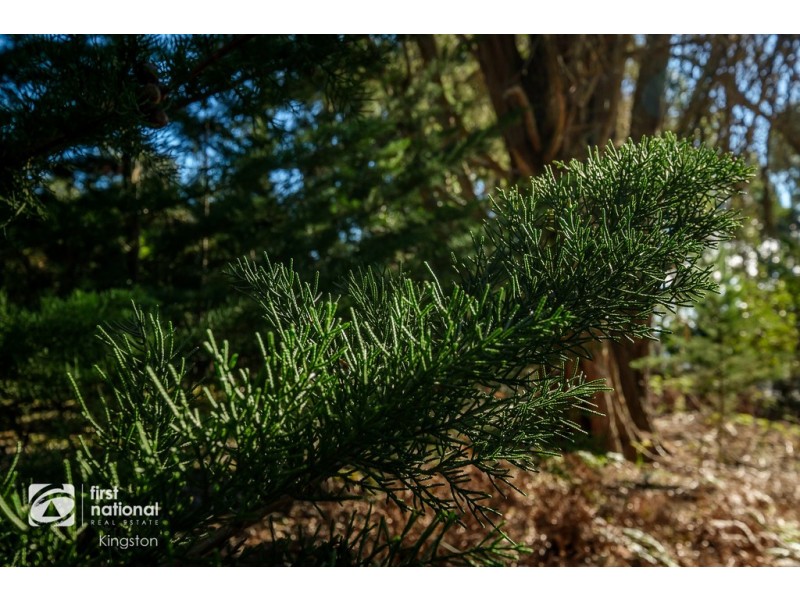 20 Cloudy Bay Road, Lunawanna TAS 7150