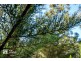 20 Cloudy Bay Road, Lunawanna TAS 7150