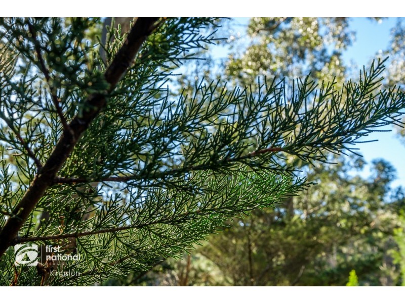 20 Cloudy Bay Road, Lunawanna TAS 7150