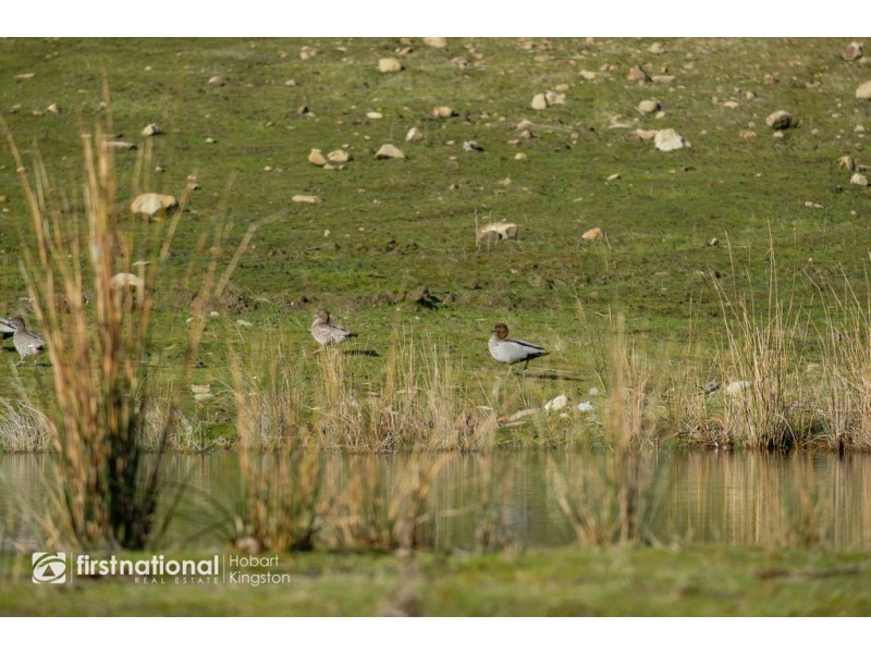 294 Sheepwash Road, Alonnah TAS 7150