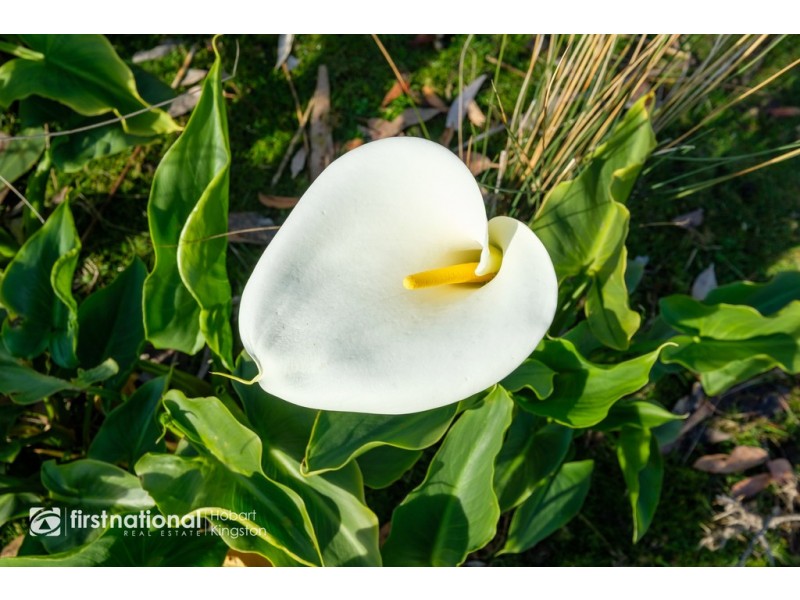 294 Sheepwash Road, Alonnah TAS 7150